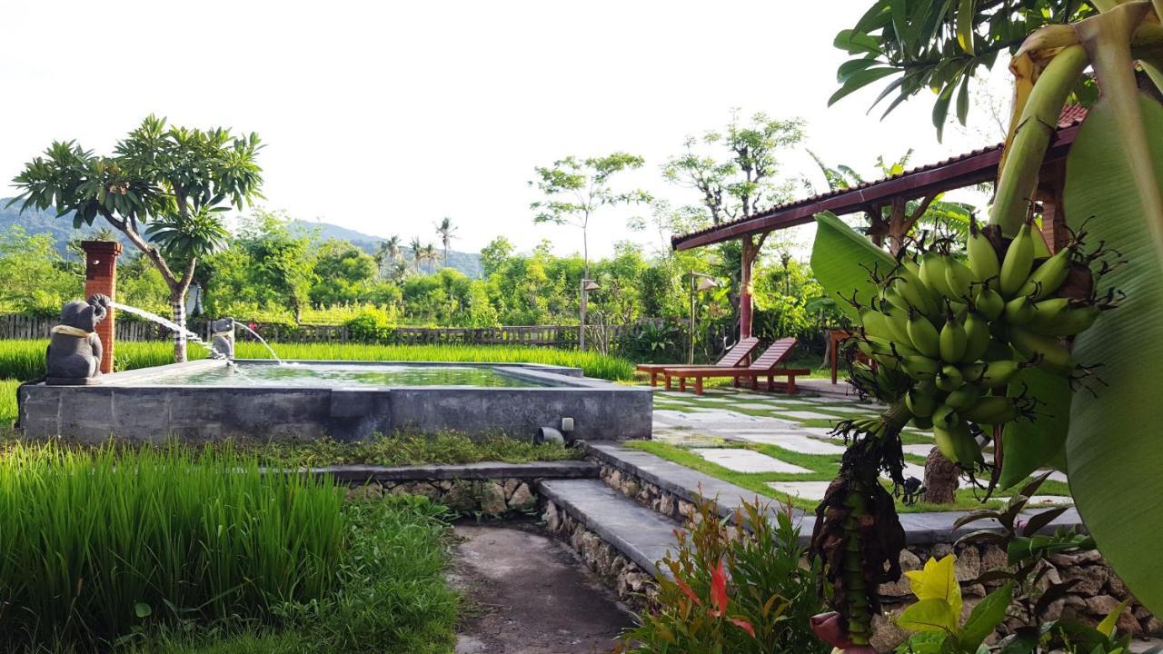 Umma Bali Menjangan Retreat Hotel Banyuwedang Exterior photo